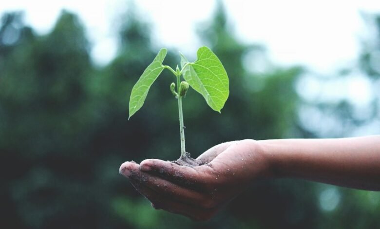 nippon indian growth initiative