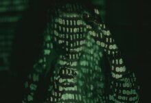 important information code number