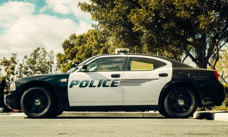 legal services overview provided