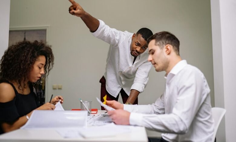 team structure and contributions