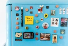 audience magnet 3237160444 traffic engine