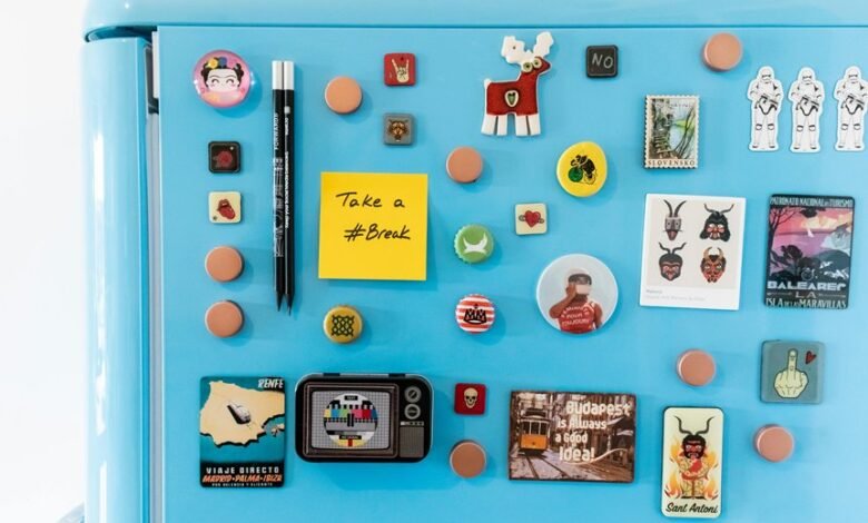 audience magnet 3237160444 traffic engine