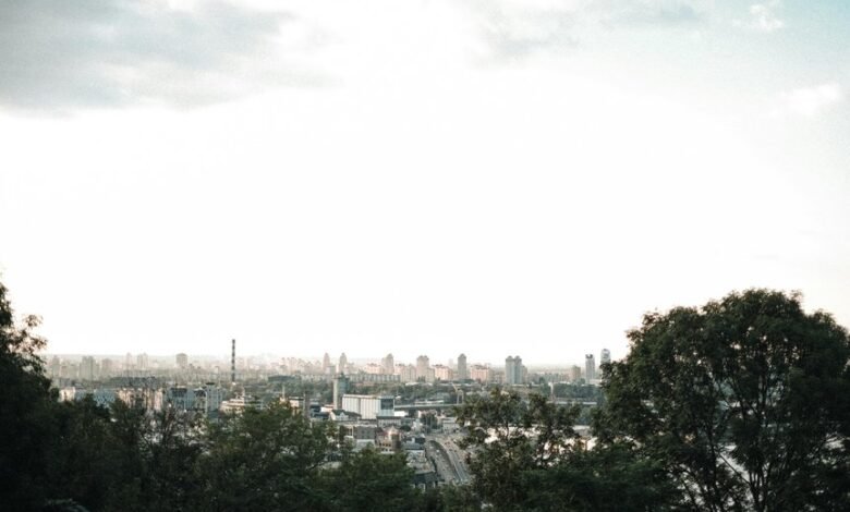 digital innovation and advantage