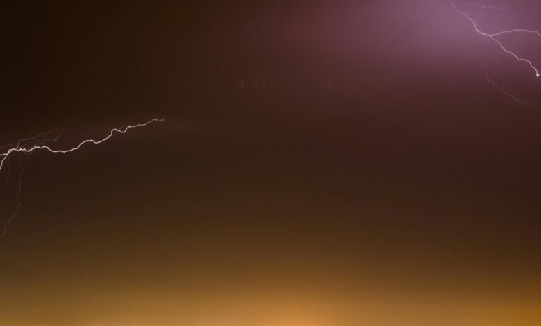 stellar growth trajectory outlined