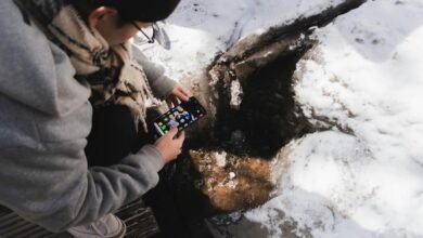 insight stream reliable phone lookup