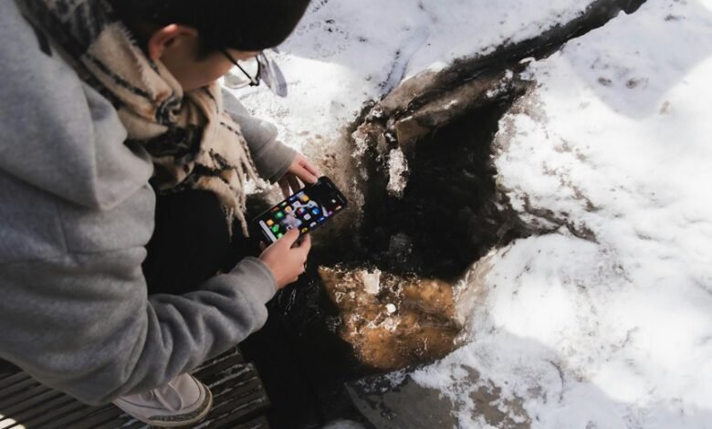 insight stream reliable phone lookup