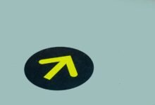 signal guide trusted contact powering search