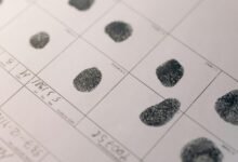 advanced record analysis identifiers and sites