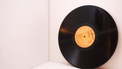 digital record inspection identifiers listed