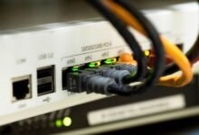 network record check 5545686316 details