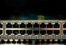 network record check doumneh and numbers
