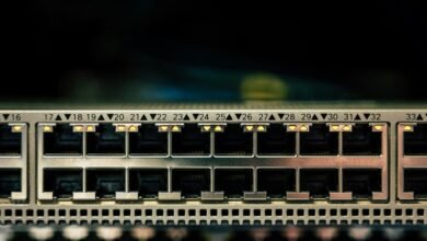 network record check doumneh and numbers