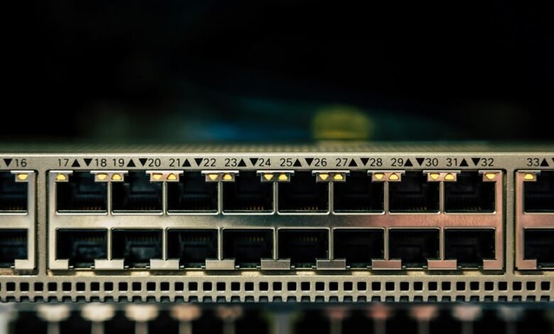 network record check doumneh and numbers