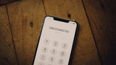 phone numbers listed for web and domain analysis