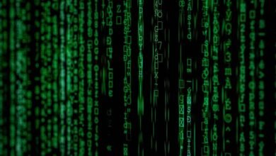 system entry identifiers and names