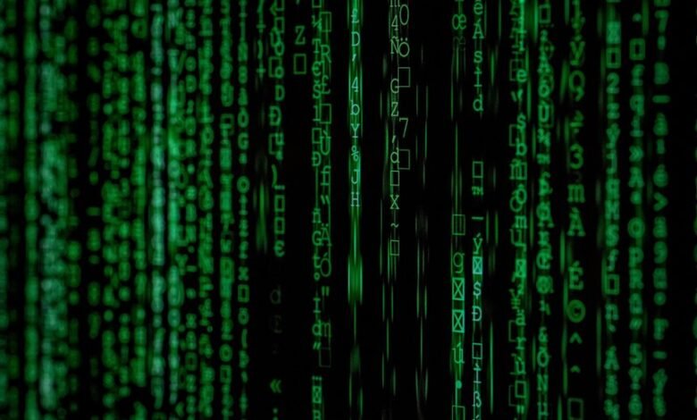system entry identifiers and names