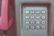 number registry facts for specific ids