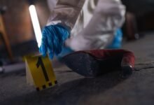 registry evidence numbers five ids