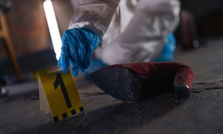 registry evidence numbers five ids