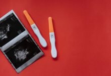 registry lookup results for five ids
