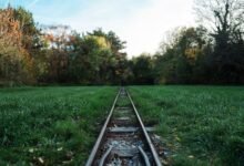 track registry lookup file ids listed