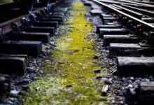 track registry search numbers history
