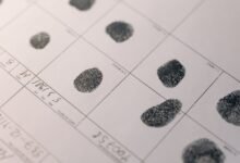 verified registry ids confirmed acima